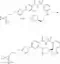 Fig. 563 - Modulators of Cystic Fibrosis Transmembrane Conductance regulator, pharmaceutical compositions, methods of treatment, and process for making the modulators