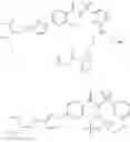 Fig. 673 - Modulators of Cystic Fibrosis Transmembrane Conductance regulator, pharmaceutical compositions, methods of treatment, and process for making the modulators