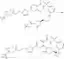 Fig. 854 - Modulators of Cystic Fibrosis Transmembrane Conductance regulator, pharmaceutical compositions, methods of treatment, and process for making the modulators