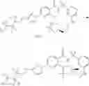 Fig. 891 - Modulators of Cystic Fibrosis Transmembrane Conductance regulator, pharmaceutical compositions, methods of treatment, and process for making the modulators