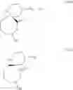 Fig. 21 - ARGINASE INHIBITORS AND METHODS OF USE THEREOF