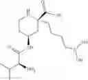 Fig. 24 - ARGINASE INHIBITORS AND METHODS OF USE THEREOF