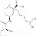 Fig. 27 - ARGINASE INHIBITORS AND METHODS OF USE THEREOF