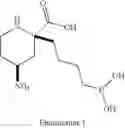 Fig. 32 - ARGINASE INHIBITORS AND METHODS OF USE THEREOF