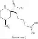 Fig. 33 - ARGINASE INHIBITORS AND METHODS OF USE THEREOF