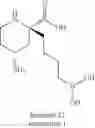Fig. 51 - ARGINASE INHIBITORS AND METHODS OF USE THEREOF