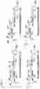 Fig. 11 - N-acetylated sialic acids and related sialosides