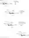 Fig. 90 - N-acetylated sialic acids and related sialosides