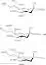 Fig. 99 - N-acetylated sialic acids and related sialosides
