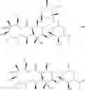 Fig. 14 - Azithromycin derivatives with epithelial barrier enhancement properties