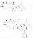 Fig. 15 - Azithromycin derivatives with epithelial barrier enhancement properties