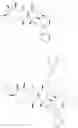 Fig. 17 - Azithromycin derivatives with epithelial barrier enhancement properties