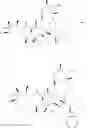 Fig. 18 - Azithromycin derivatives with epithelial barrier enhancement properties