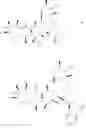 Fig. 23 - Azithromycin derivatives with epithelial barrier enhancement properties
