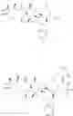Fig. 26 - Azithromycin derivatives with epithelial barrier enhancement properties