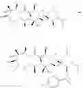 Fig. 27 - Azithromycin derivatives with epithelial barrier enhancement properties