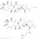 Fig. 30 - Azithromycin derivatives with epithelial barrier enhancement properties