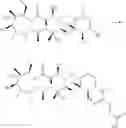 Fig. 31 - Azithromycin derivatives with epithelial barrier enhancement properties