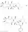 Fig. 32 - Azithromycin derivatives with epithelial barrier enhancement properties