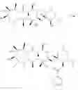 Fig. 33 - Azithromycin derivatives with epithelial barrier enhancement properties