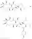 Fig. 35 - Azithromycin derivatives with epithelial barrier enhancement properties