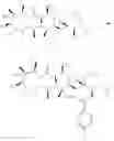Fig. 36 - Azithromycin derivatives with epithelial barrier enhancement properties