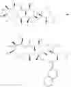 Fig. 37 - Azithromycin derivatives with epithelial barrier enhancement properties