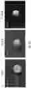 Fig. 08 - HETERODIMER COMPOSITIONS AND METHODS FOR THE TREATMENT OF OCULAR DISORDERS