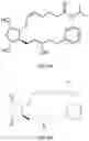 Fig. 09 - HETERODIMER COMPOSITIONS AND METHODS FOR THE TREATMENT OF OCULAR DISORDERS