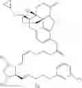 Fig. 114 - HETERODIMER COMPOSITIONS AND METHODS FOR THE TREATMENT OF OCULAR DISORDERS