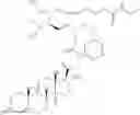 Fig. 116 - HETERODIMER COMPOSITIONS AND METHODS FOR THE TREATMENT OF OCULAR DISORDERS