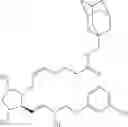 Fig. 126 - HETERODIMER COMPOSITIONS AND METHODS FOR THE TREATMENT OF OCULAR DISORDERS