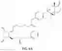 Fig. 13 - HETERODIMER COMPOSITIONS AND METHODS FOR THE TREATMENT OF OCULAR DISORDERS