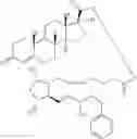 Fig. 130 - HETERODIMER COMPOSITIONS AND METHODS FOR THE TREATMENT OF OCULAR DISORDERS