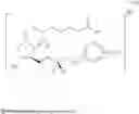 Fig. 138 - HETERODIMER COMPOSITIONS AND METHODS FOR THE TREATMENT OF OCULAR DISORDERS