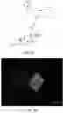 Fig. 16 - HETERODIMER COMPOSITIONS AND METHODS FOR THE TREATMENT OF OCULAR DISORDERS