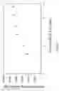 Fig. 17 - HETERODIMER COMPOSITIONS AND METHODS FOR THE TREATMENT OF OCULAR DISORDERS