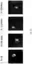 Fig. 18 - HETERODIMER COMPOSITIONS AND METHODS FOR THE TREATMENT OF OCULAR DISORDERS