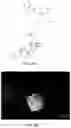 Fig. 19 - HETERODIMER COMPOSITIONS AND METHODS FOR THE TREATMENT OF OCULAR DISORDERS