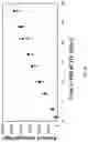 Fig. 20 - HETERODIMER COMPOSITIONS AND METHODS FOR THE TREATMENT OF OCULAR DISORDERS