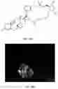 Fig. 22 - HETERODIMER COMPOSITIONS AND METHODS FOR THE TREATMENT OF OCULAR DISORDERS