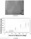 Fig. 28 - HETERODIMER COMPOSITIONS AND METHODS FOR THE TREATMENT OF OCULAR DISORDERS