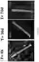 Fig. 29 - HETERODIMER COMPOSITIONS AND METHODS FOR THE TREATMENT OF OCULAR DISORDERS