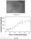 Fig. 30 - HETERODIMER COMPOSITIONS AND METHODS FOR THE TREATMENT OF OCULAR DISORDERS