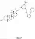 Fig. 36 - HETERODIMER COMPOSITIONS AND METHODS FOR THE TREATMENT OF OCULAR DISORDERS
