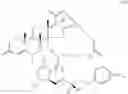 Fig. 42 - HETERODIMER COMPOSITIONS AND METHODS FOR THE TREATMENT OF OCULAR DISORDERS