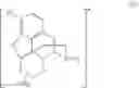 Fig. 46 - HETERODIMER COMPOSITIONS AND METHODS FOR THE TREATMENT OF OCULAR DISORDERS