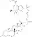 Fig. 79 - HETERODIMER COMPOSITIONS AND METHODS FOR THE TREATMENT OF OCULAR DISORDERS