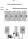 Fig. 02 - CONTINUOUS VIRUS RETENTIVE FILTRATION