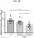 Fig. 09 - Neuroprotective peptides and methods of their use